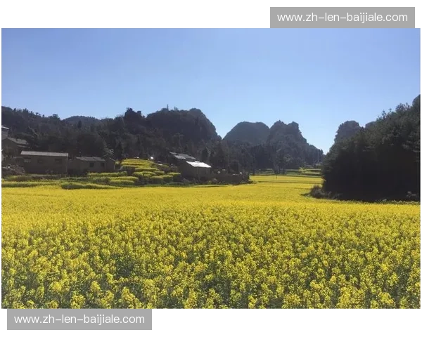 宿命的对决，传奇的诞生：2017勇士vs骑士——一场载入史册的总决赛